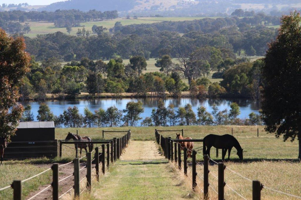 In the heart of Victoria’s thoroughbred breeding region property
